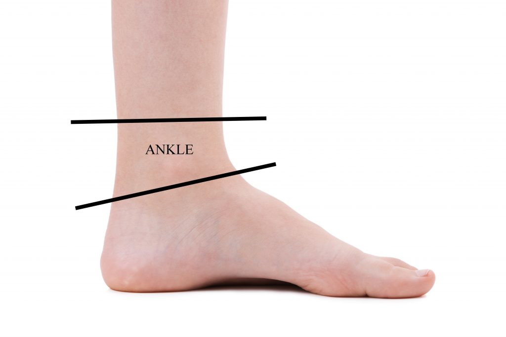 Ankle - Ankle, Foot and Orthotic Centre