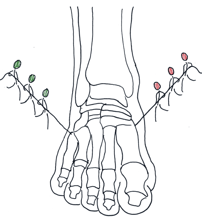 Neutral Foot
